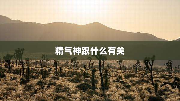 精气神跟什么有关