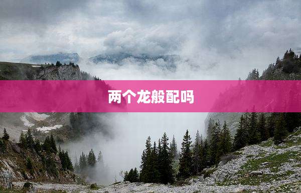 两个龙般配吗