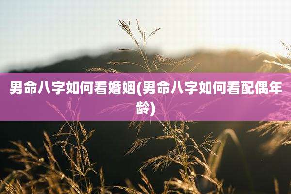 男命八字如何看婚姻(男命八字如何看配偶年龄)