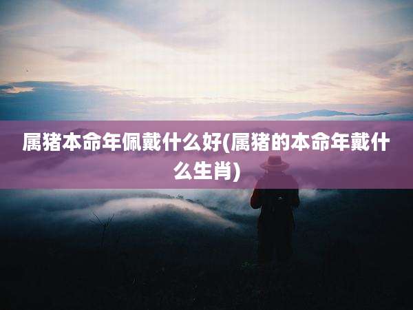 属猪本命年佩戴什么好(属猪的本命年戴什么生肖)