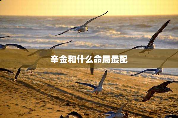 辛金和什么命局最配