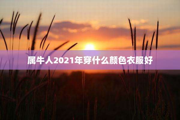 属牛人2021年穿什么颜色衣服好