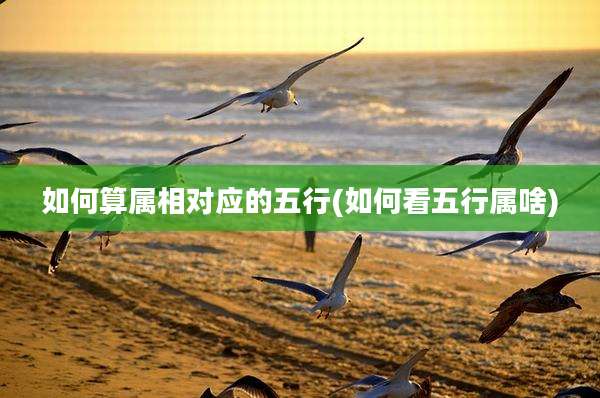 如何算属相对应的五行(如何看五行属啥)