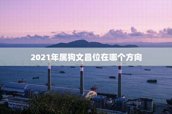 2021年属狗文昌位在哪个方向