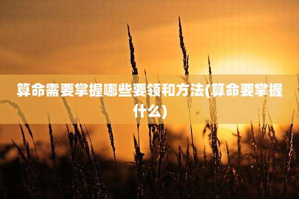 算命需要掌握哪些要领和方法(算命要掌握什么)