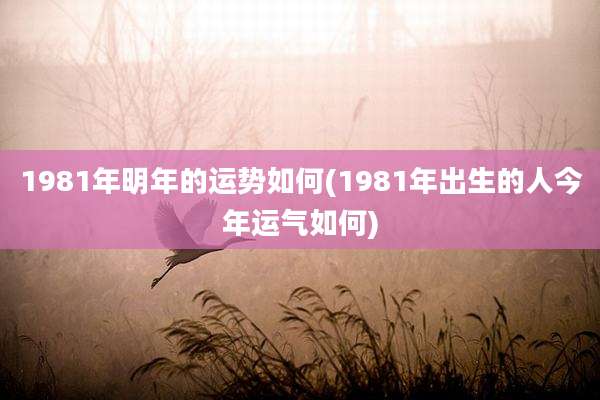 1981年明年的运势如何(1981年出生的人今年运气如何)