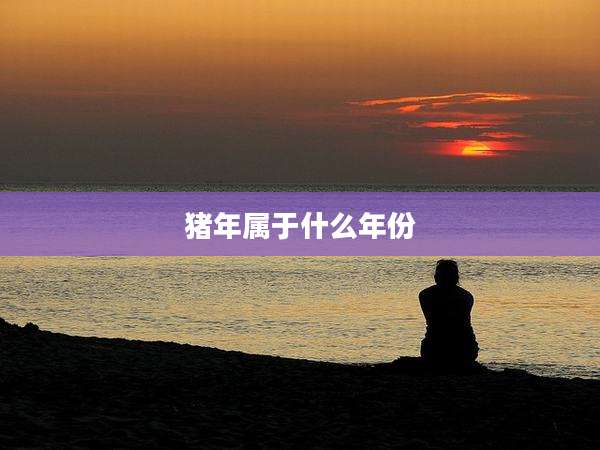 猪年属于什么年份