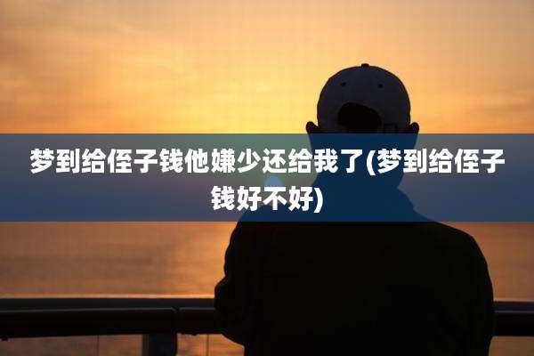 梦到给侄子钱他嫌少还给我了(梦到给侄子钱好不好)