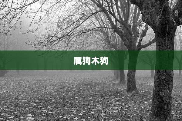 属狗木狗