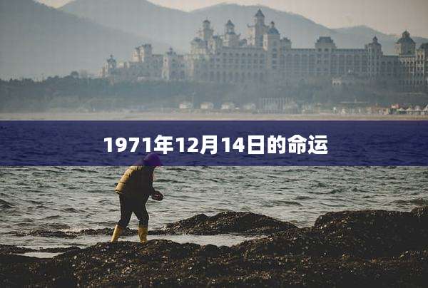 1971年12月14日的命运
