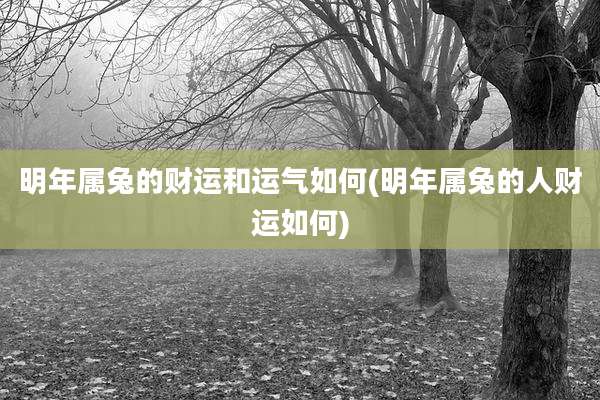 明年属兔的财运和运气如何(明年属兔的人财运如何)
