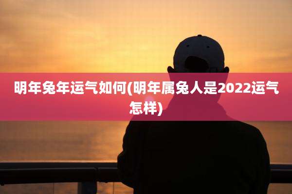 明年兔年运气如何(明年属兔人是2022运气怎样)