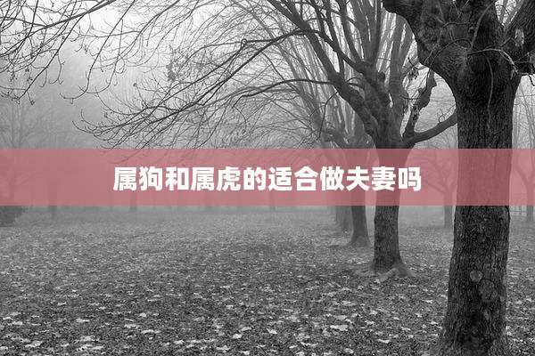 属狗和属虎的适合做夫妻吗