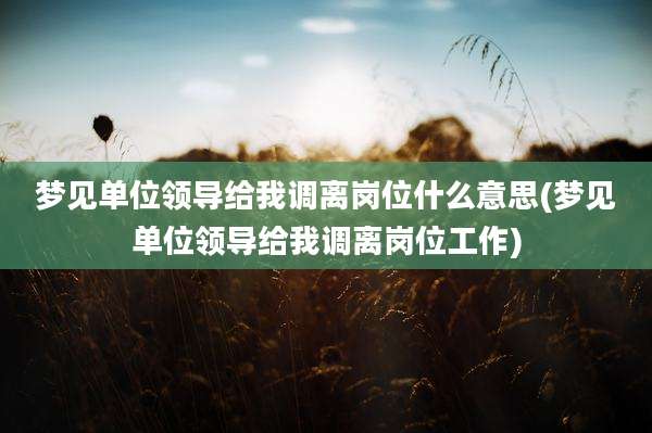 梦见单位领导给我调离岗位什么意思(梦见单位领导给我调离岗位工作)
