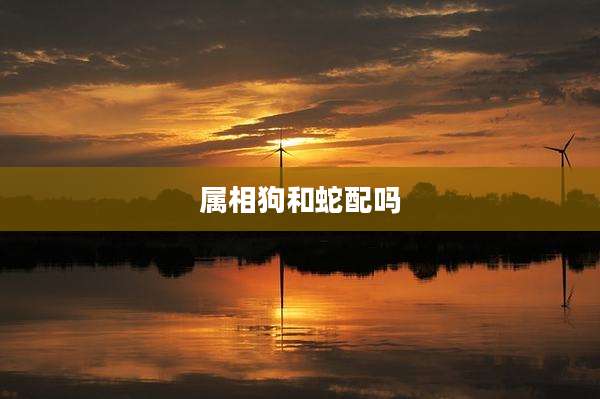 属相狗和蛇配吗