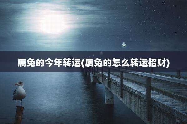 属兔的今年转运(属兔的怎么转运招财)
