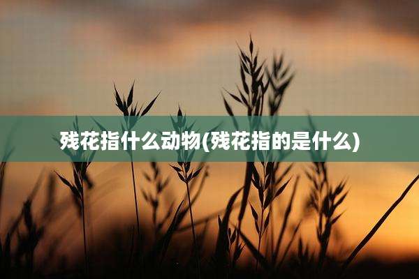 残花指什么动物(残花指的是什么)