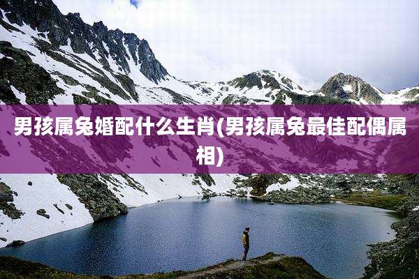 男孩属兔婚配什么生肖(男孩属兔最佳配偶属相)