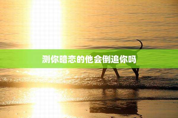 测你暗恋的他会倒追你吗