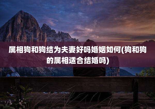 属相狗和狗结为夫妻好吗婚姻如何(狗和狗的属相适合结婚吗)