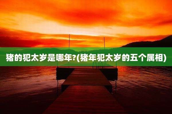 猪的犯太岁是哪年?(猪年犯太岁的五个属相)