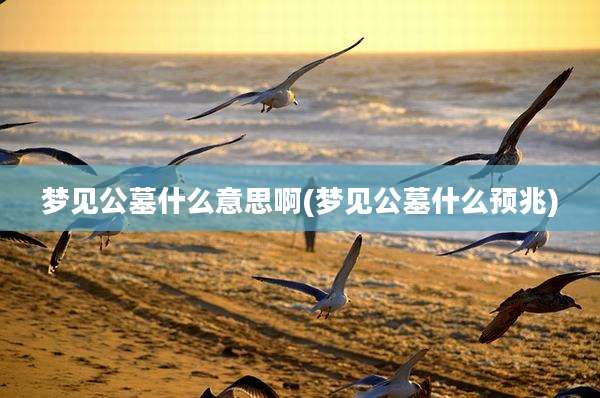 梦见公墓什么意思啊(梦见公墓什么预兆)