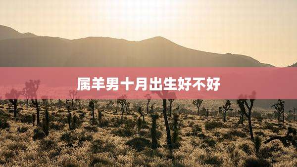 属羊男十月出生好不好