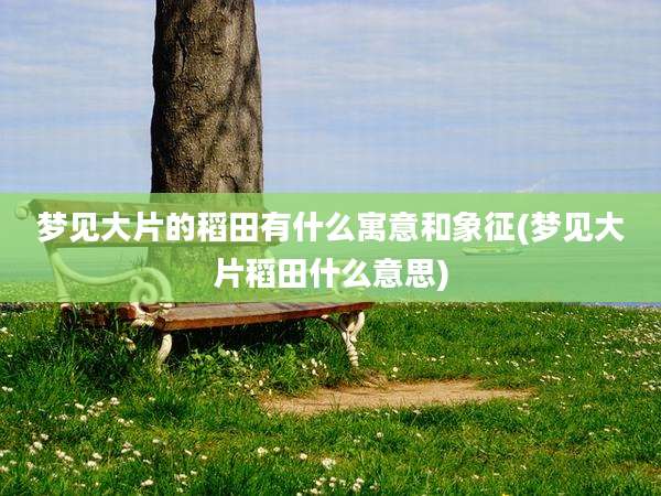 梦见大片的稻田有什么寓意和象征(梦见大片稻田什么意思)