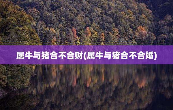 属牛与猪合不合财(属牛与猪合不合婚)