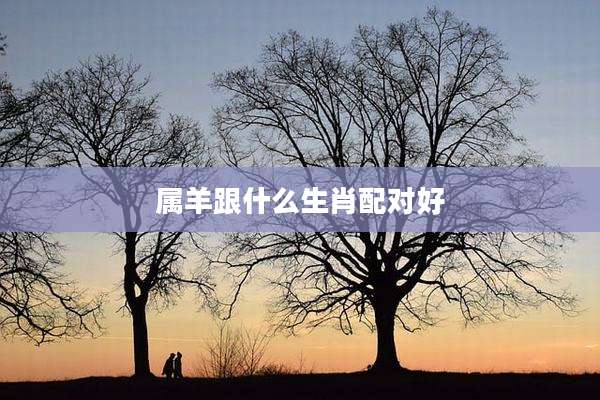 属羊跟什么生肖配对好
