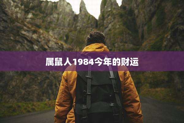 属鼠人1984今年的财运