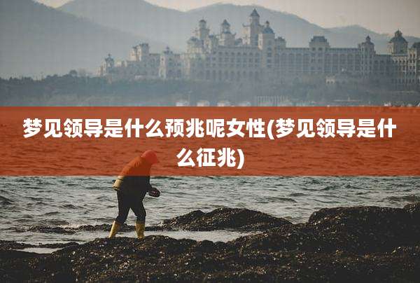 梦见领导是什么预兆呢女性(梦见领导是什么征兆)