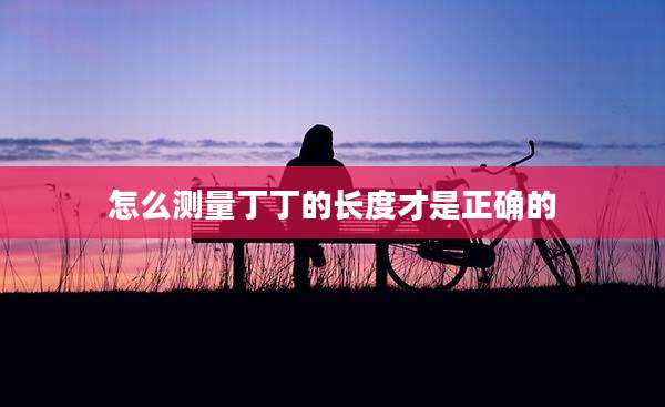 怎么测量丁丁的长度才是正确的