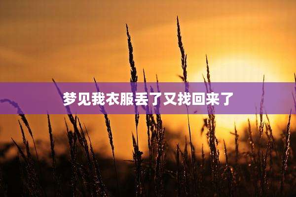 梦见我衣服丢了又找回来了