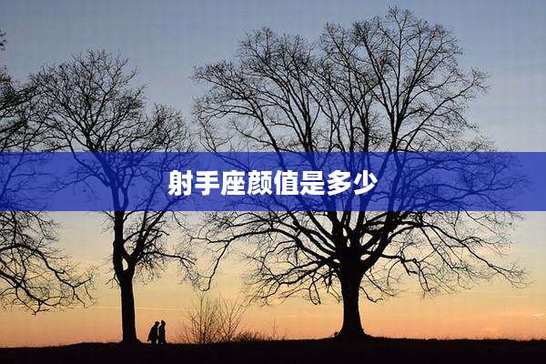 射手座颜值是多少