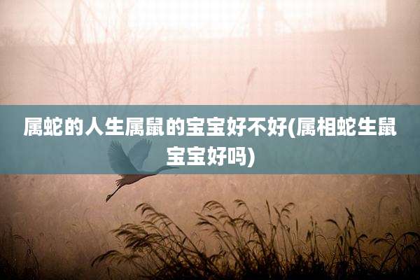属蛇的人生属鼠的宝宝好不好(属相蛇生鼠宝宝好吗)