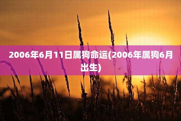 2006年6月11日属狗命运(2006年属狗6月出生)