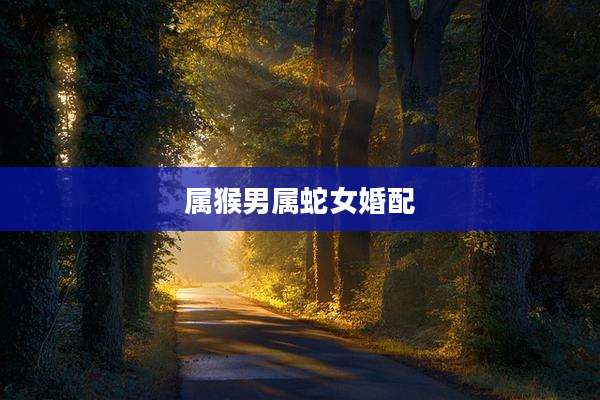 属猴男属蛇女婚配