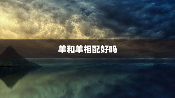 羊和羊相配好吗