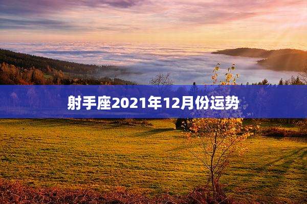 射手座2021年12月份运势