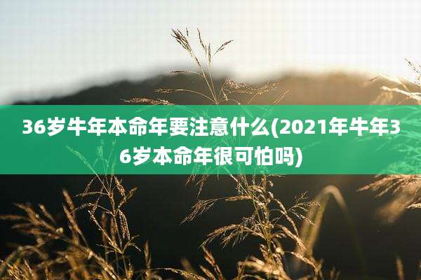 36岁牛年本命年要注意什么(2021年牛年36岁本命年很可怕吗)