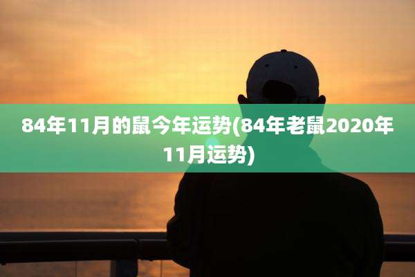 84年11月的鼠今年运势(84年老鼠2020年11月运势)