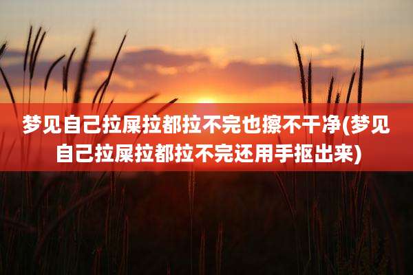 梦见自己拉屎拉都拉不完也擦不干净(梦见自己拉屎拉都拉不完还用手抠出来)