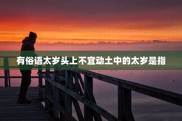 有俗语太岁头上不宜动土中的太岁是指