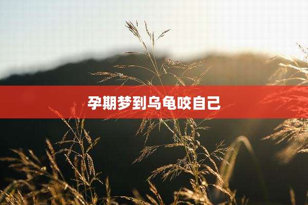 孕期梦到乌龟咬自己