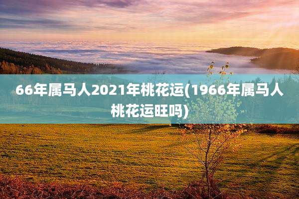 66年属马人2021年桃花运(1966年属马人桃花运旺吗)