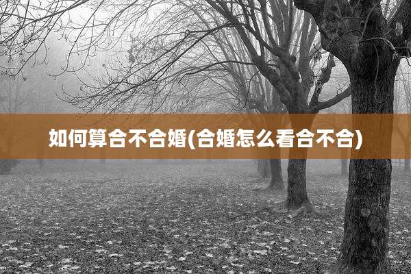 如何算合不合婚(合婚怎么看合不合)