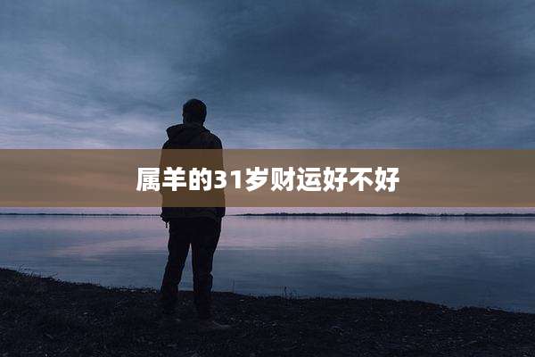 属羊的31岁财运好不好
