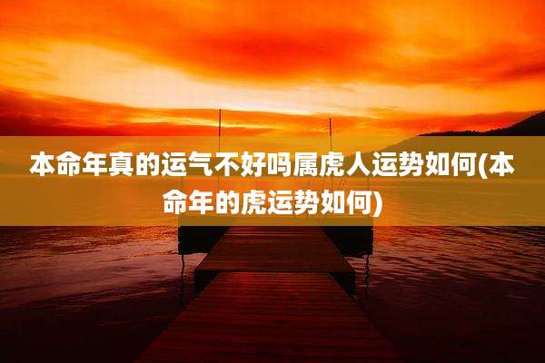 本命年真的运气不好吗属虎人运势如何(本命年的虎运势如何)