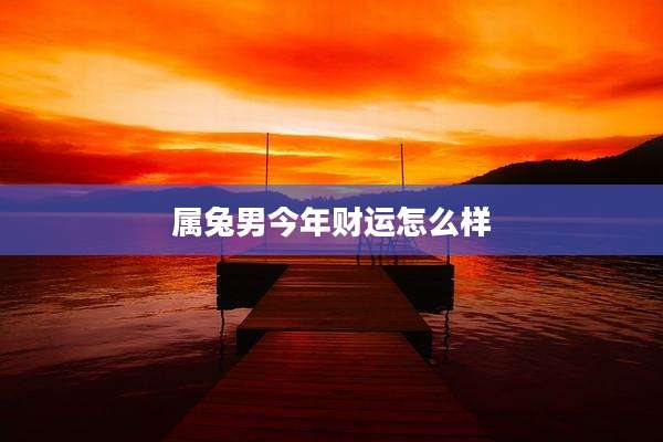 属兔男今年财运怎么样